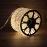 Дюралайт NEON-NIGHT FIXING 30 LED теплый белый 121-126-6