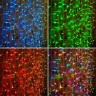 Гирлянда NEON-NIGHT СВЕТОДИОДНЫЙ ДОЖДЬ 600 LED RGB 245-319